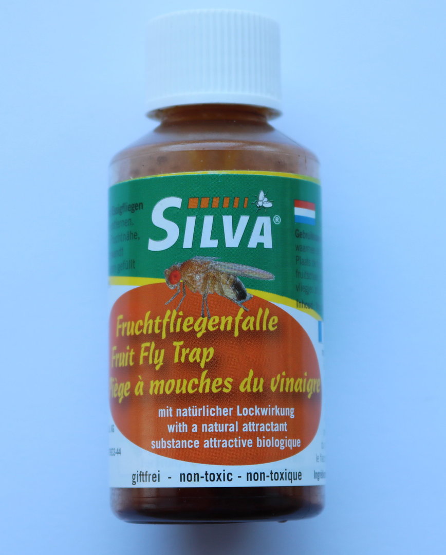 Silva Fruchtfliegenfalle mit Lockmittel